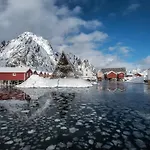 Svinoya Rorbuer Hotel Svolvær